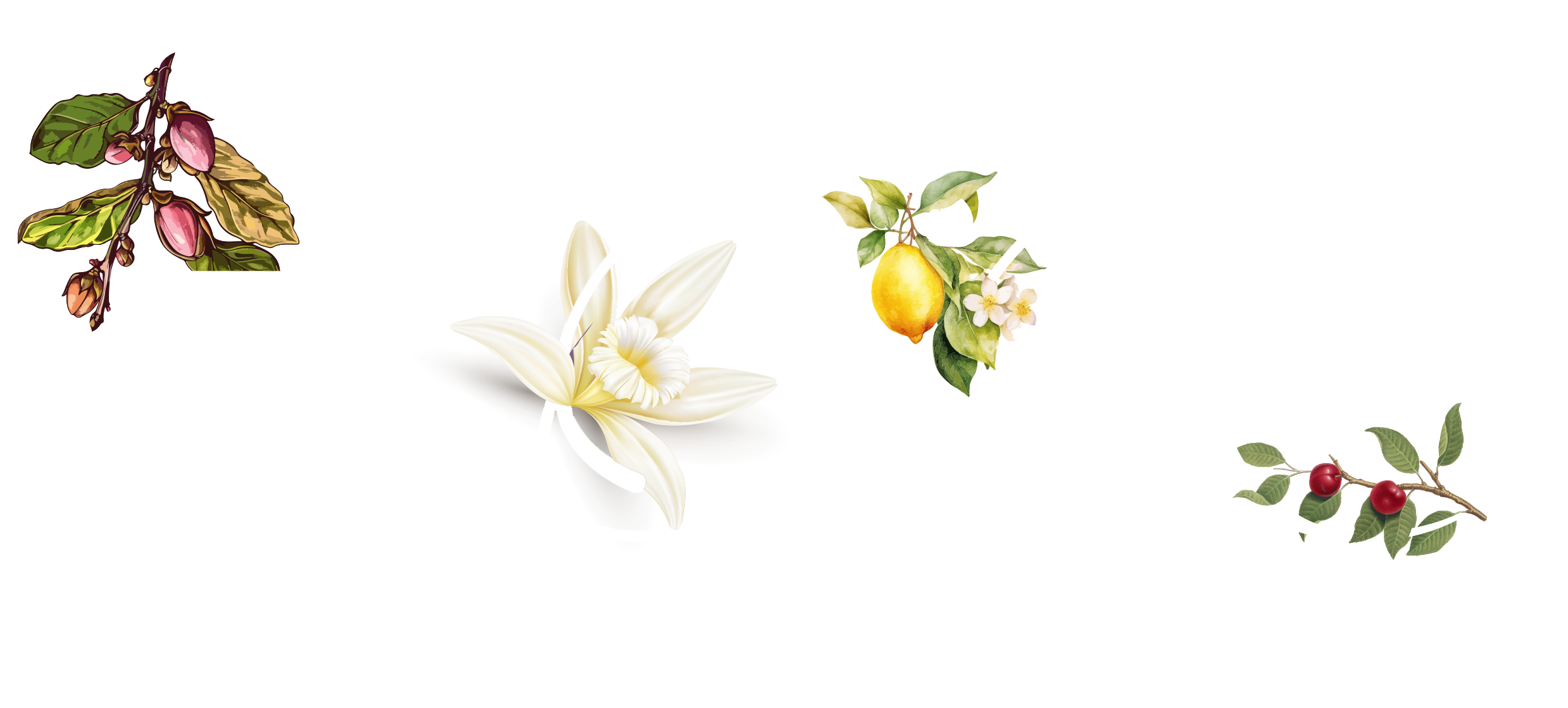 Logo Black